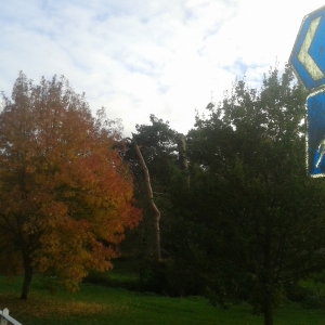 Bourne Valley Greenway