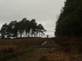 hasley inclosure